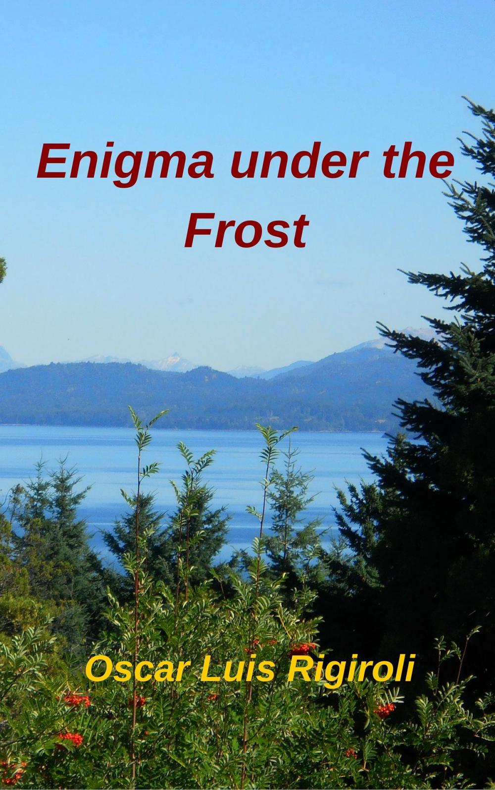 Big bigCover of Enigma under the Frost
