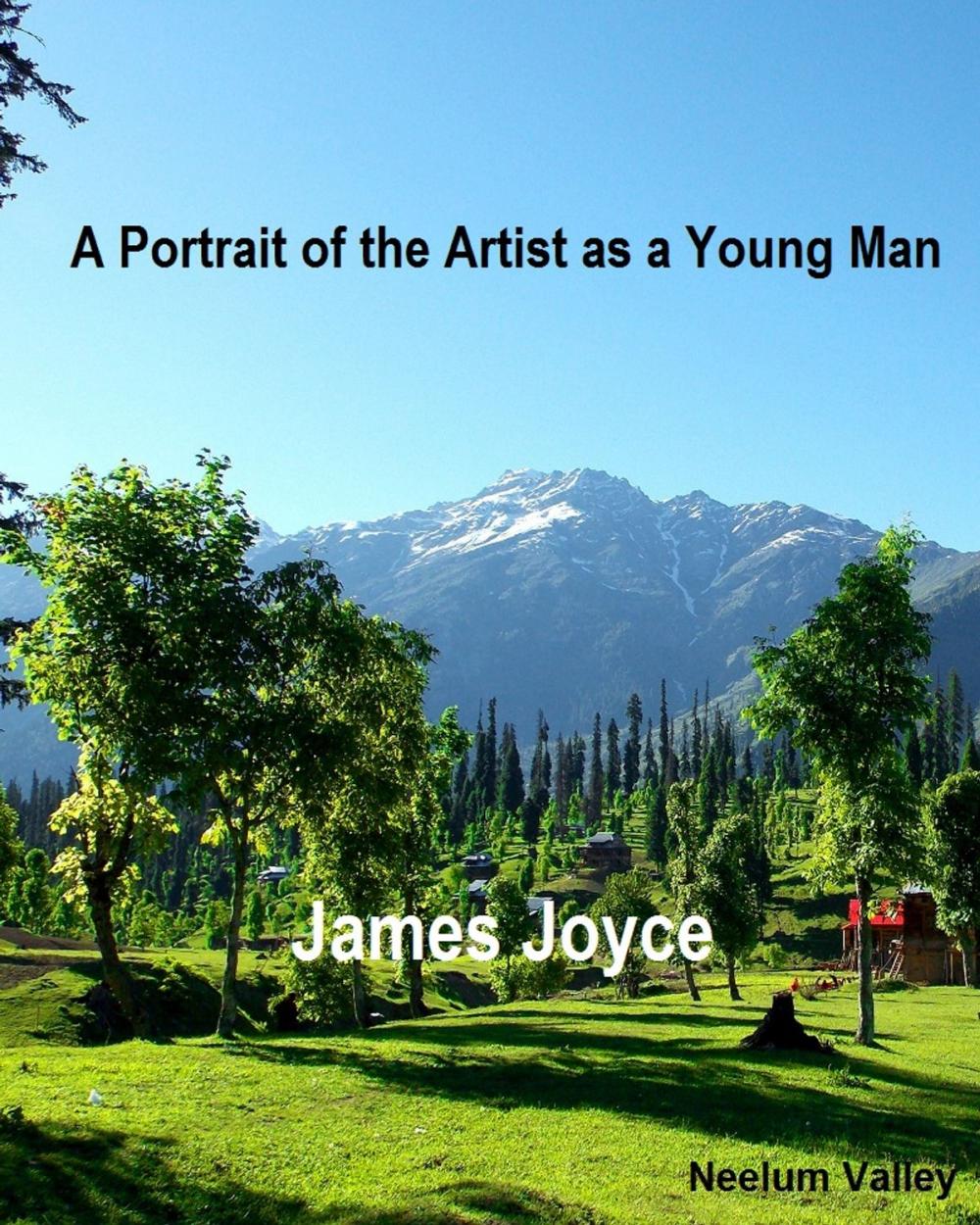 Big bigCover of A Portrait of the Artist as a Young Man