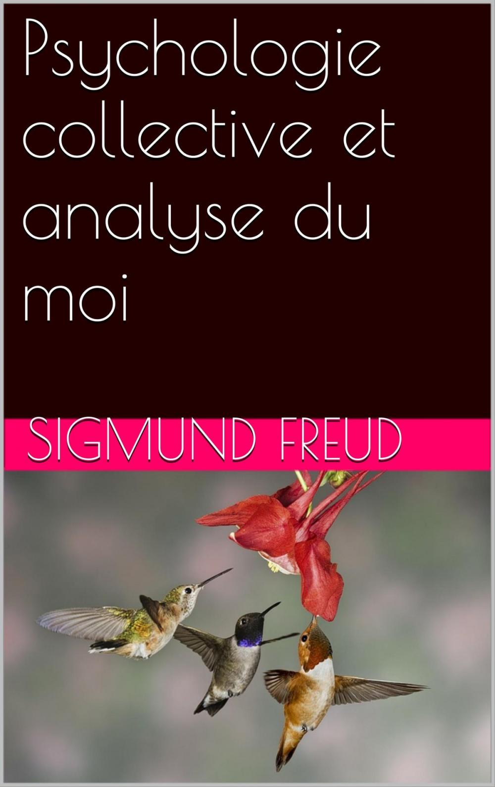 Big bigCover of Psychologie collective et analyse du moi