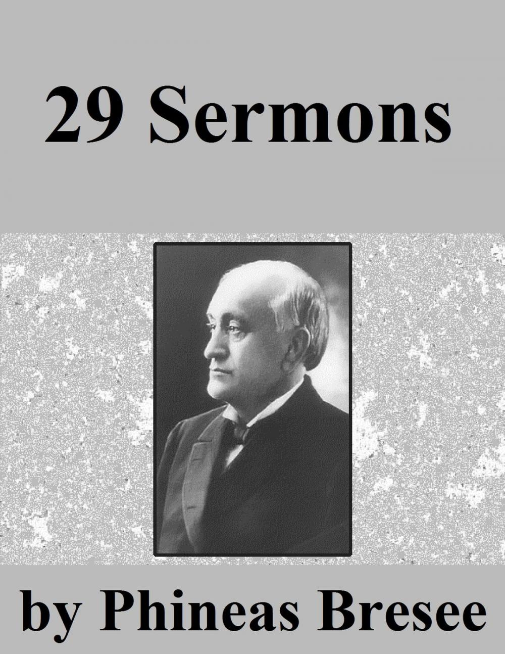 Big bigCover of 29 Sermons