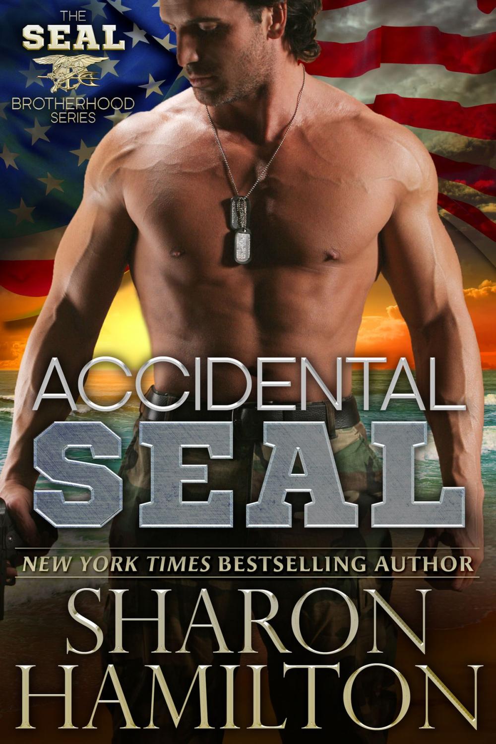 Big bigCover of Accidental SEAL