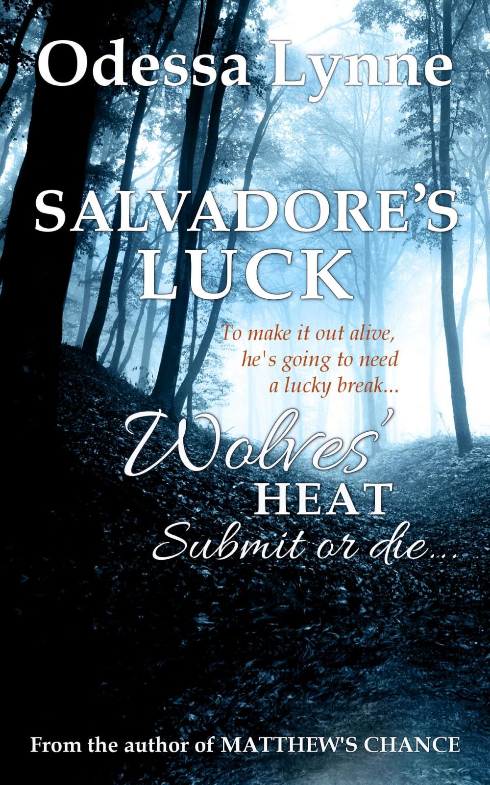 Big bigCover of Salvadore's Luck