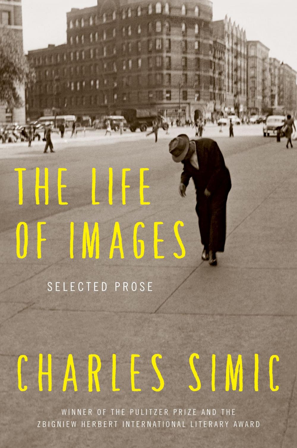 Big bigCover of The Life of Images