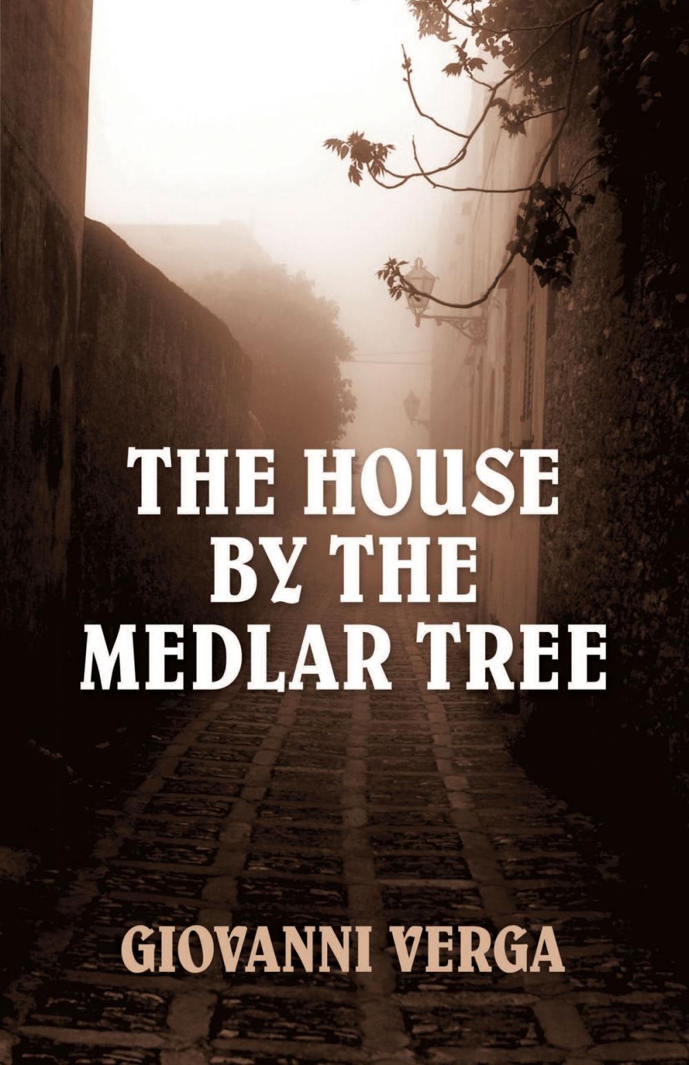 Big bigCover of The House by the Medlar Tree