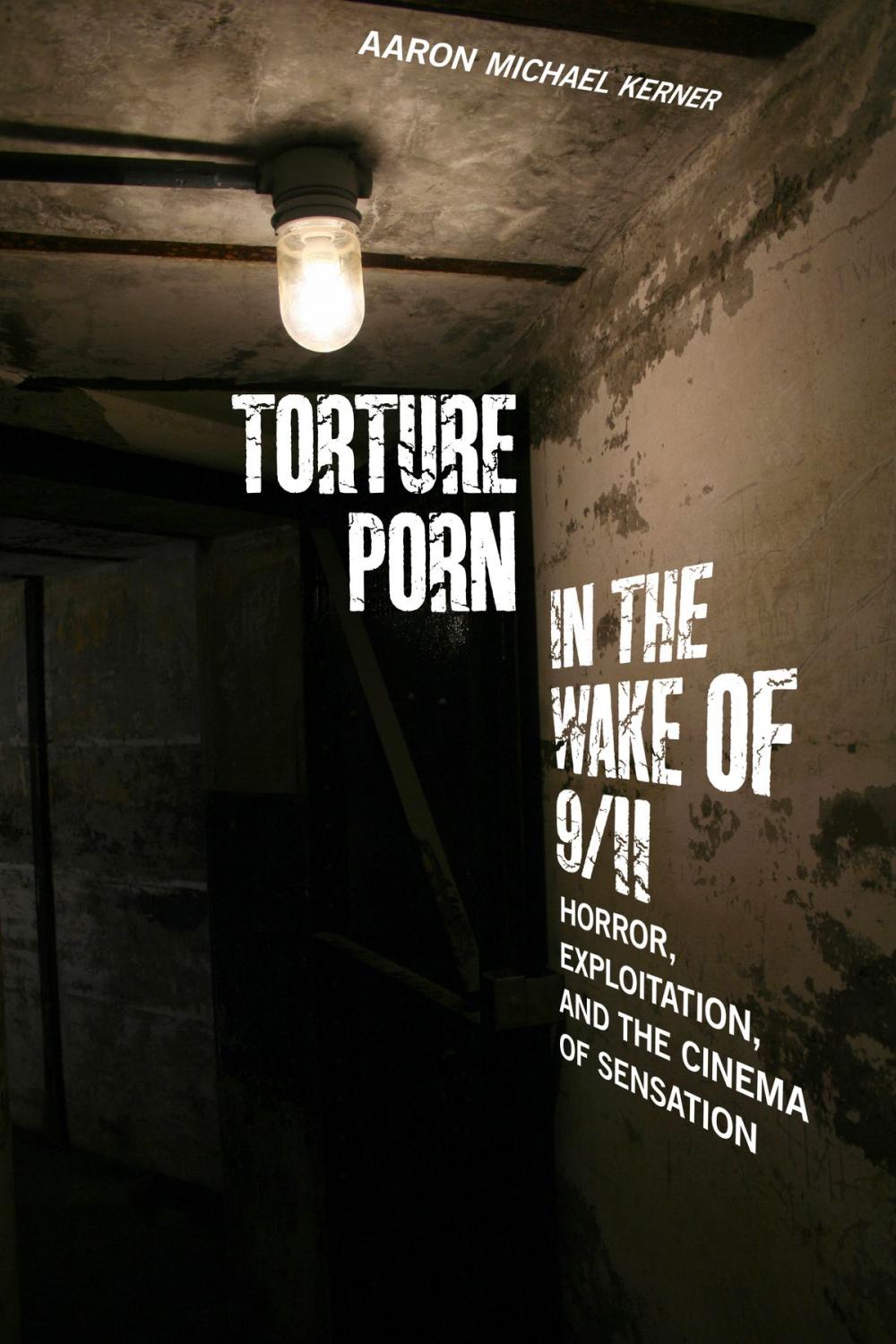 Big bigCover of Torture Porn in the Wake of 9/11