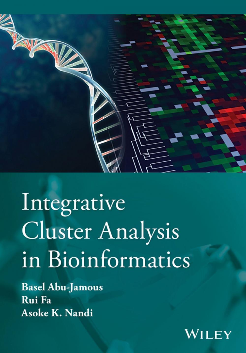 Big bigCover of Integrative Cluster Analysis in Bioinformatics
