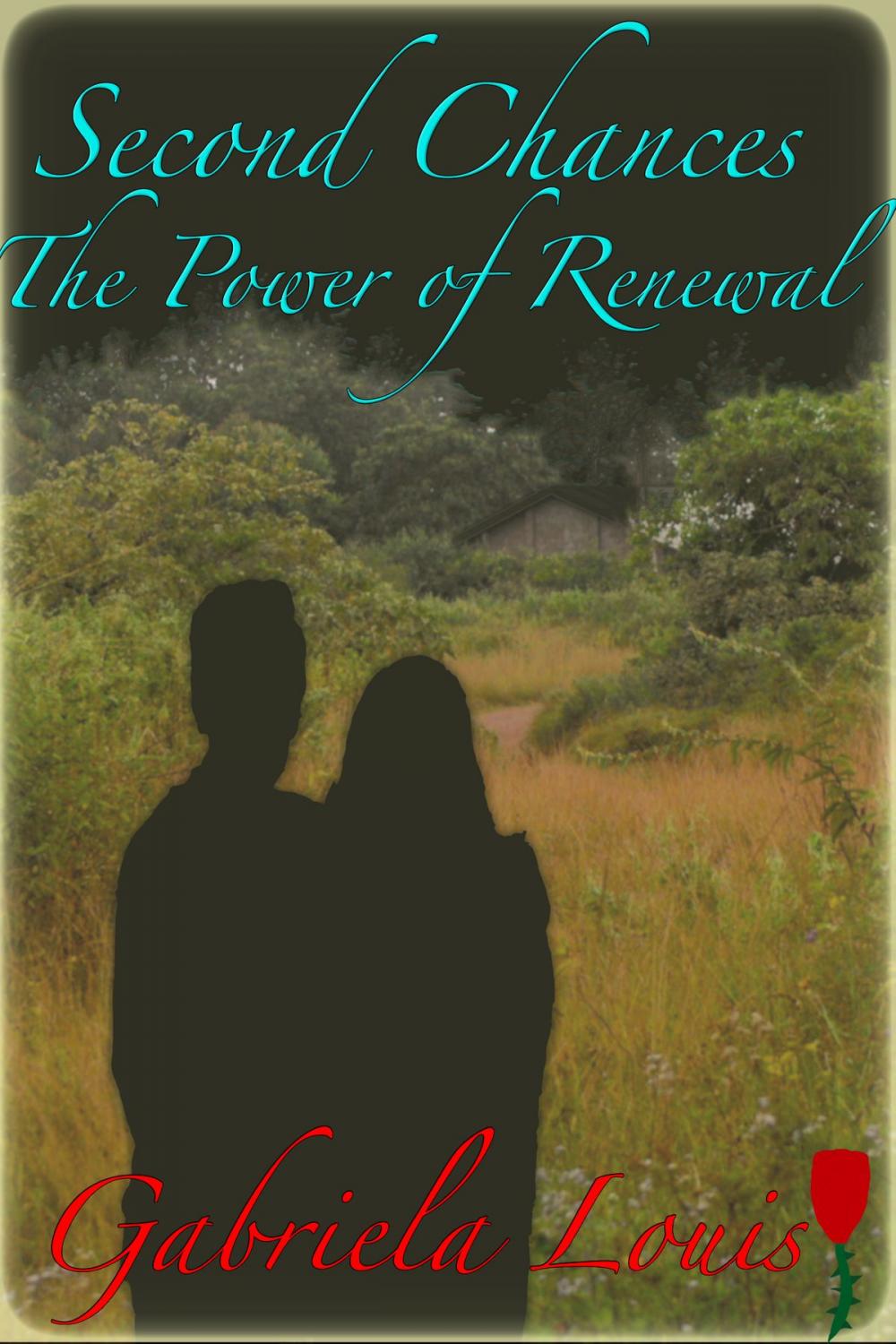 Big bigCover of Second Chances: The Power of Renewal