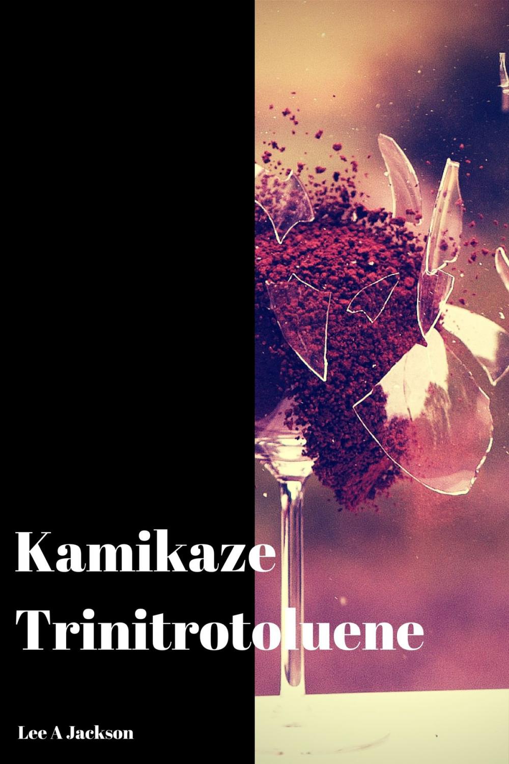 Big bigCover of Kamikaze Trinitrotoluene