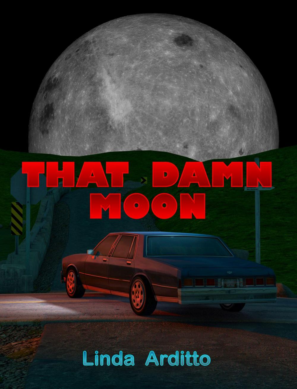 Big bigCover of That Damn Moon