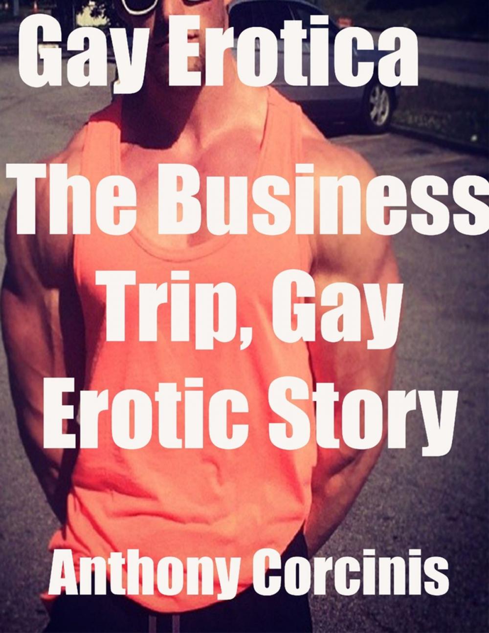 Big bigCover of Gay Erotica: The Business Trip, Gay Erotic Story