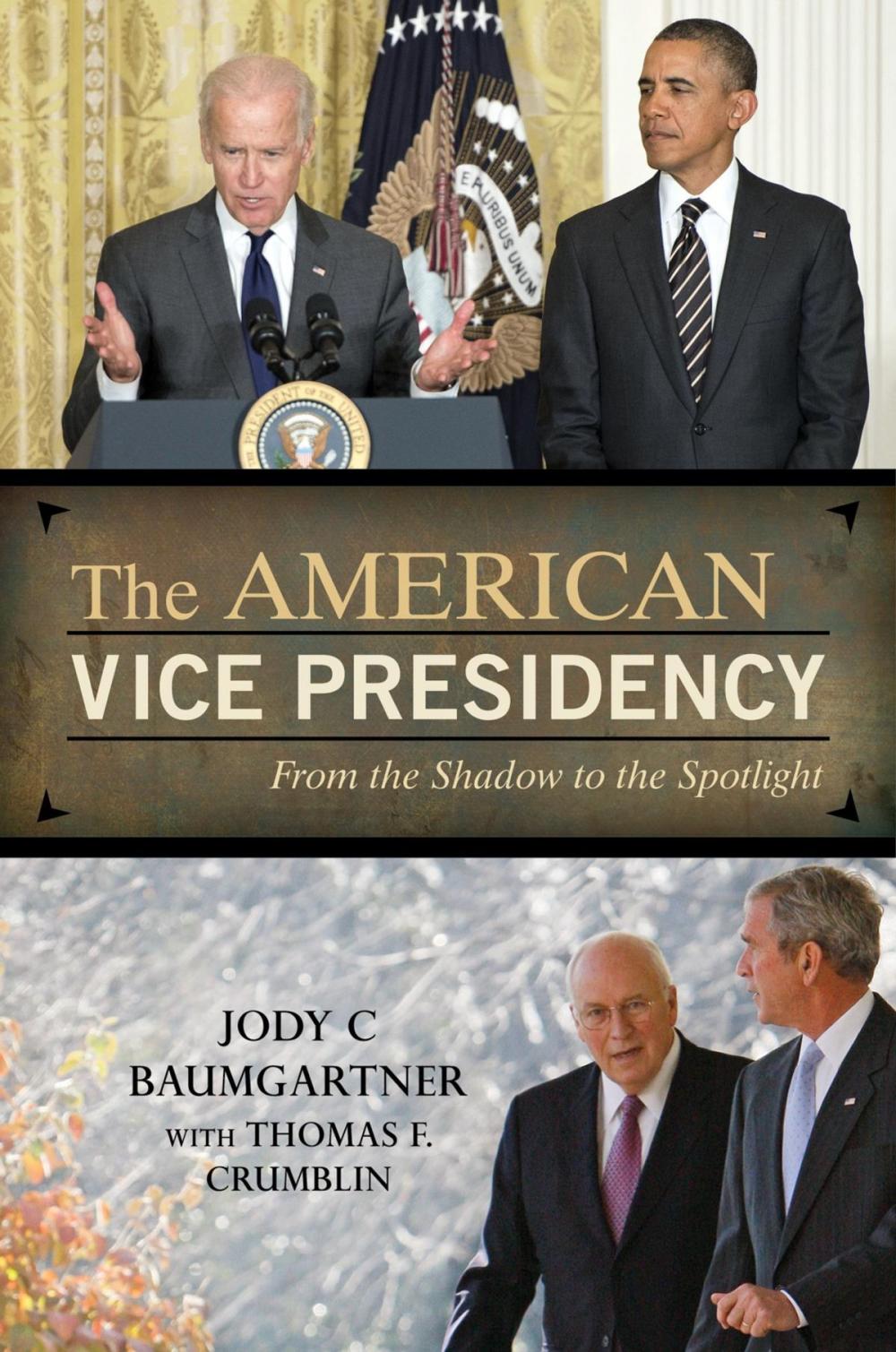 Big bigCover of The American Vice Presidency