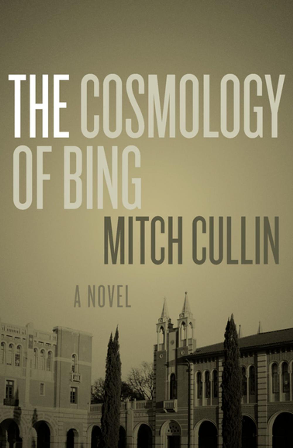 Big bigCover of The Cosmology of Bing