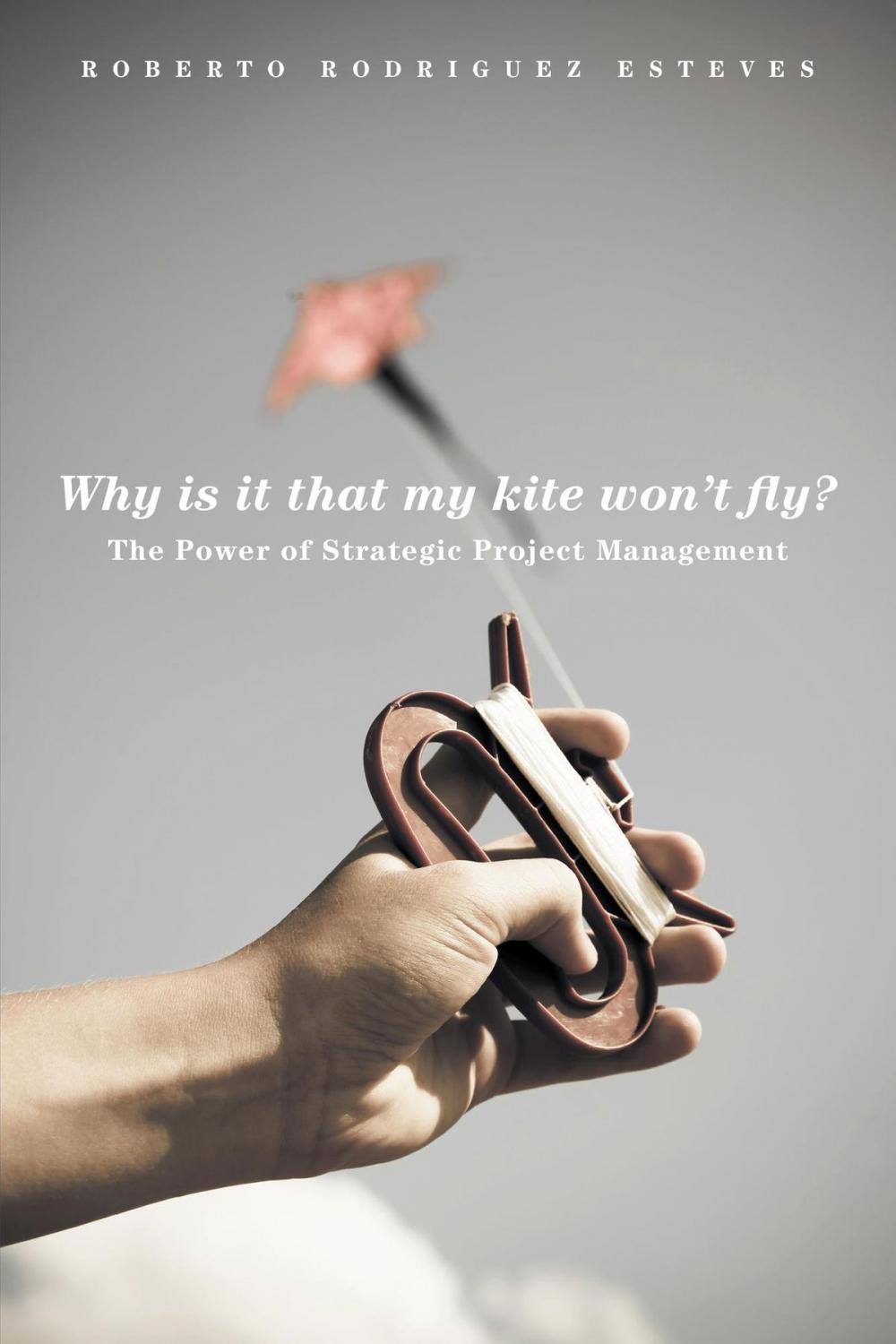 Big bigCover of Why is it that my kite won’t fly?