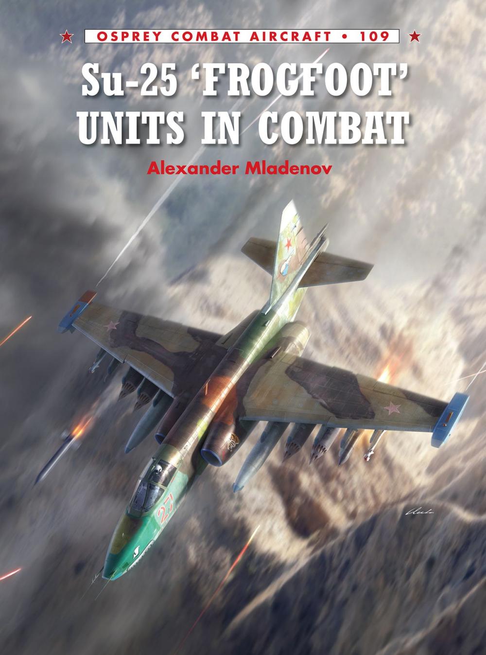 Big bigCover of Su-25 'Frogfoot' Units In Combat