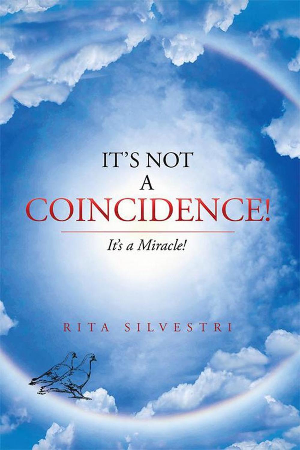 Big bigCover of It’S Not a Coincidence!