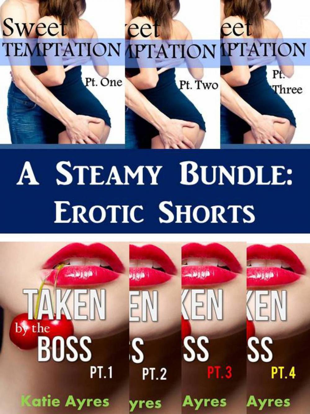 Big bigCover of A Steamy Bundle: Erotic Shorts