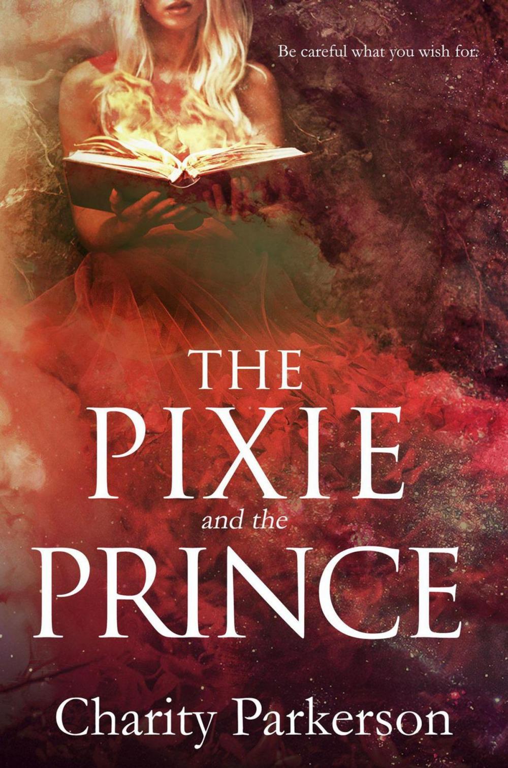 Big bigCover of The Pixie & The Prince