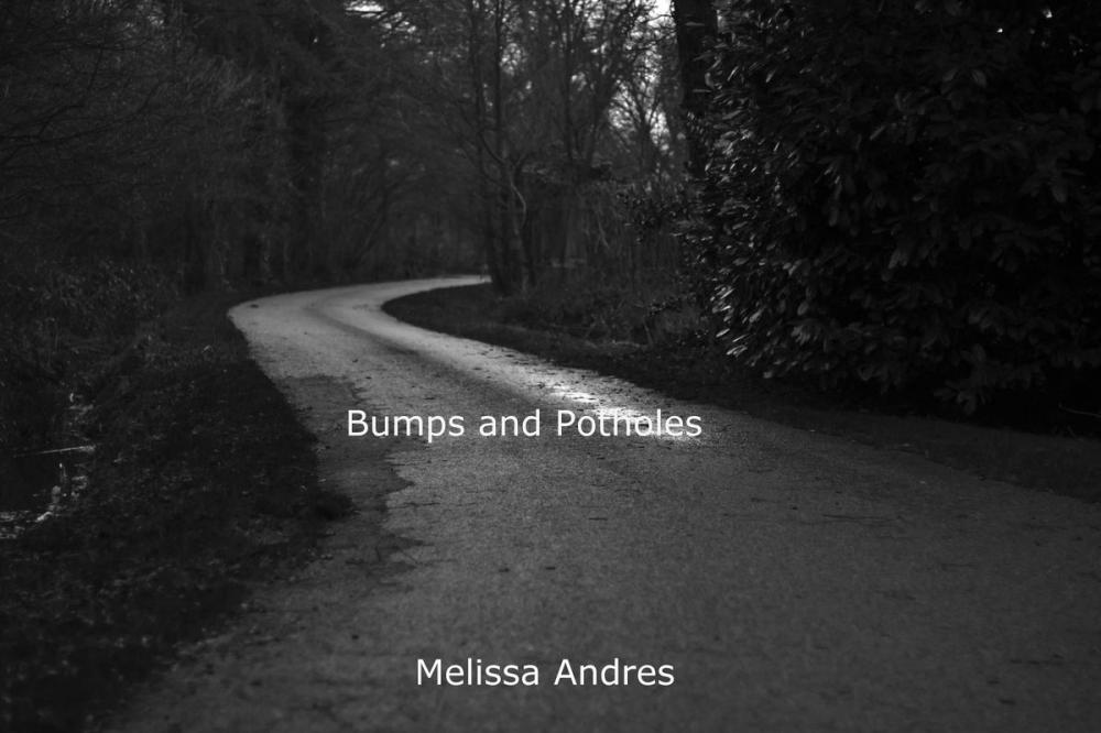 Big bigCover of Bumps and Potholes