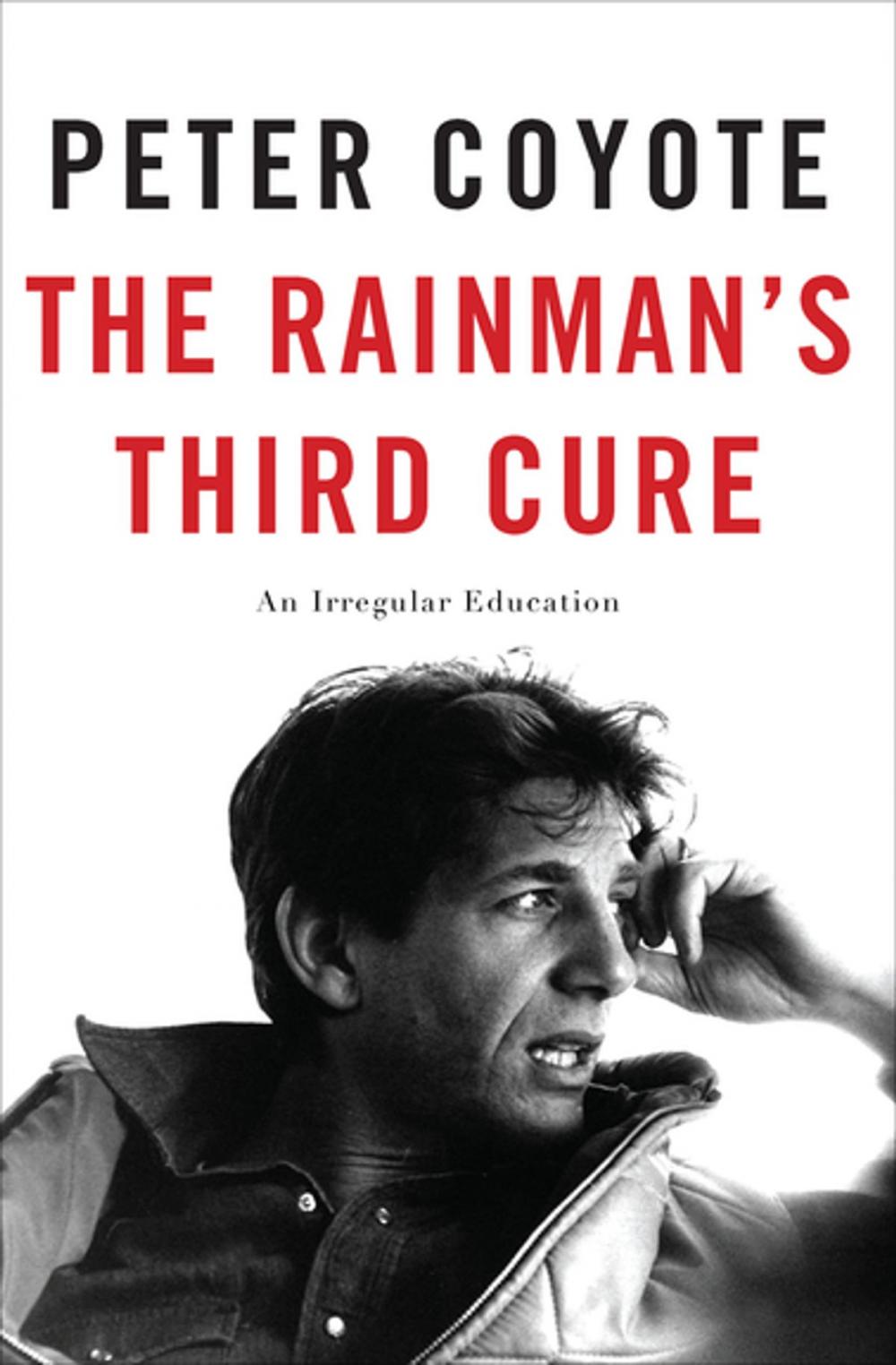 Big bigCover of The Rainman's Third Cure