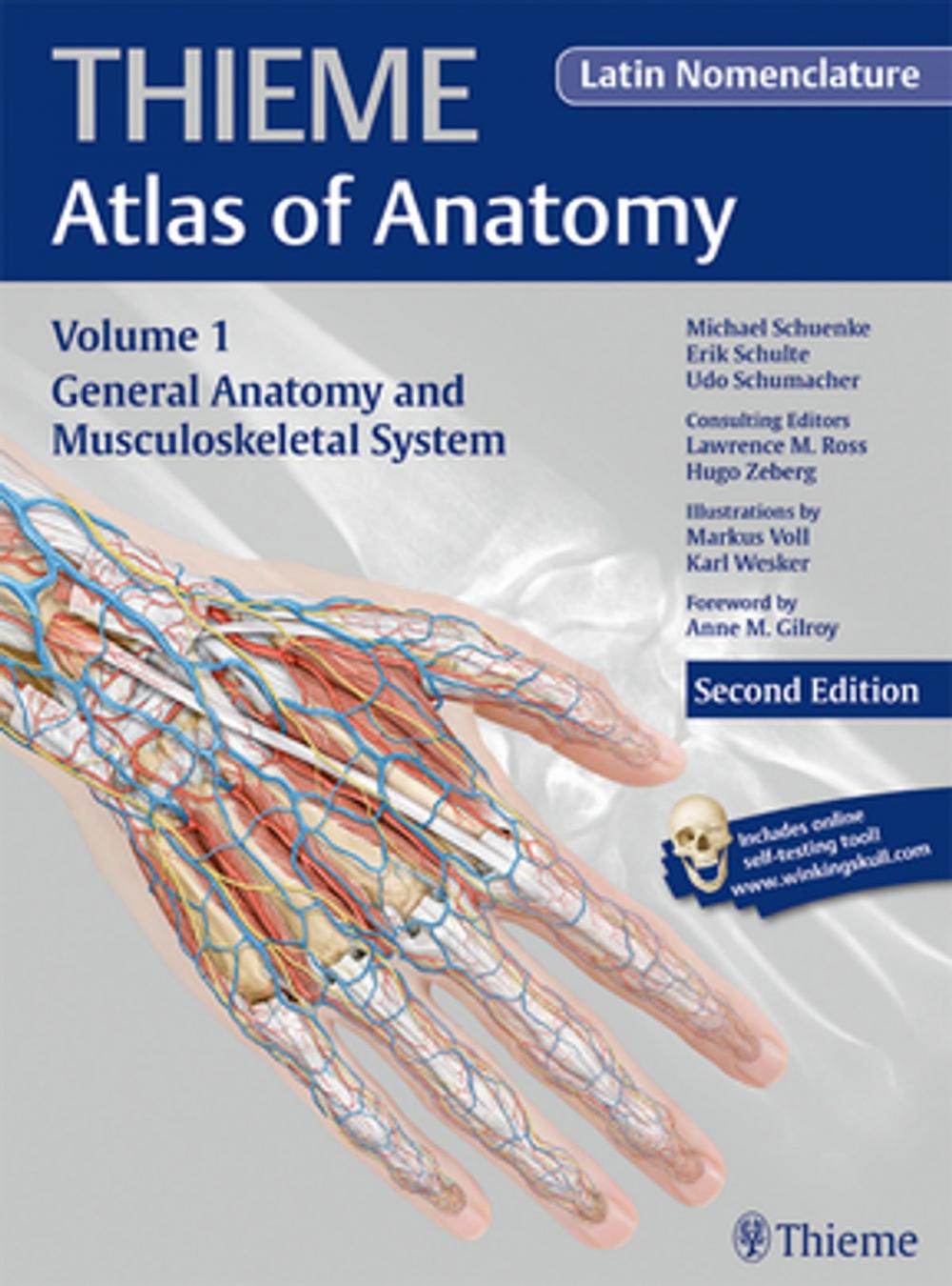 Big bigCover of General Anatomy and Musculoskeletal System (THIEME Atlas of Anatomy), Latin nomenclature