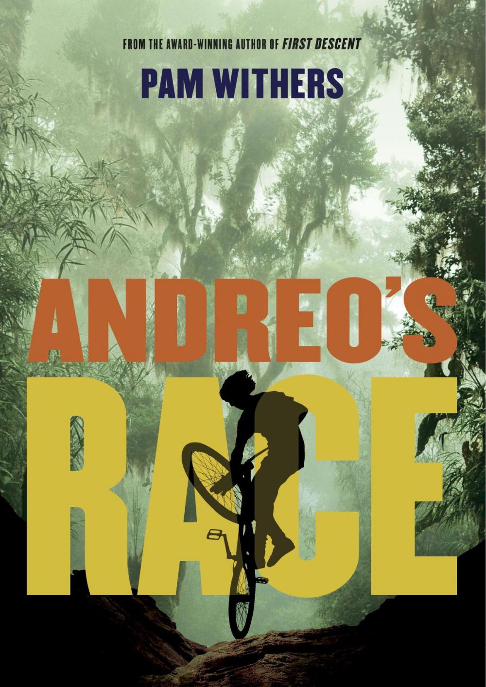 Big bigCover of Andreo's Race