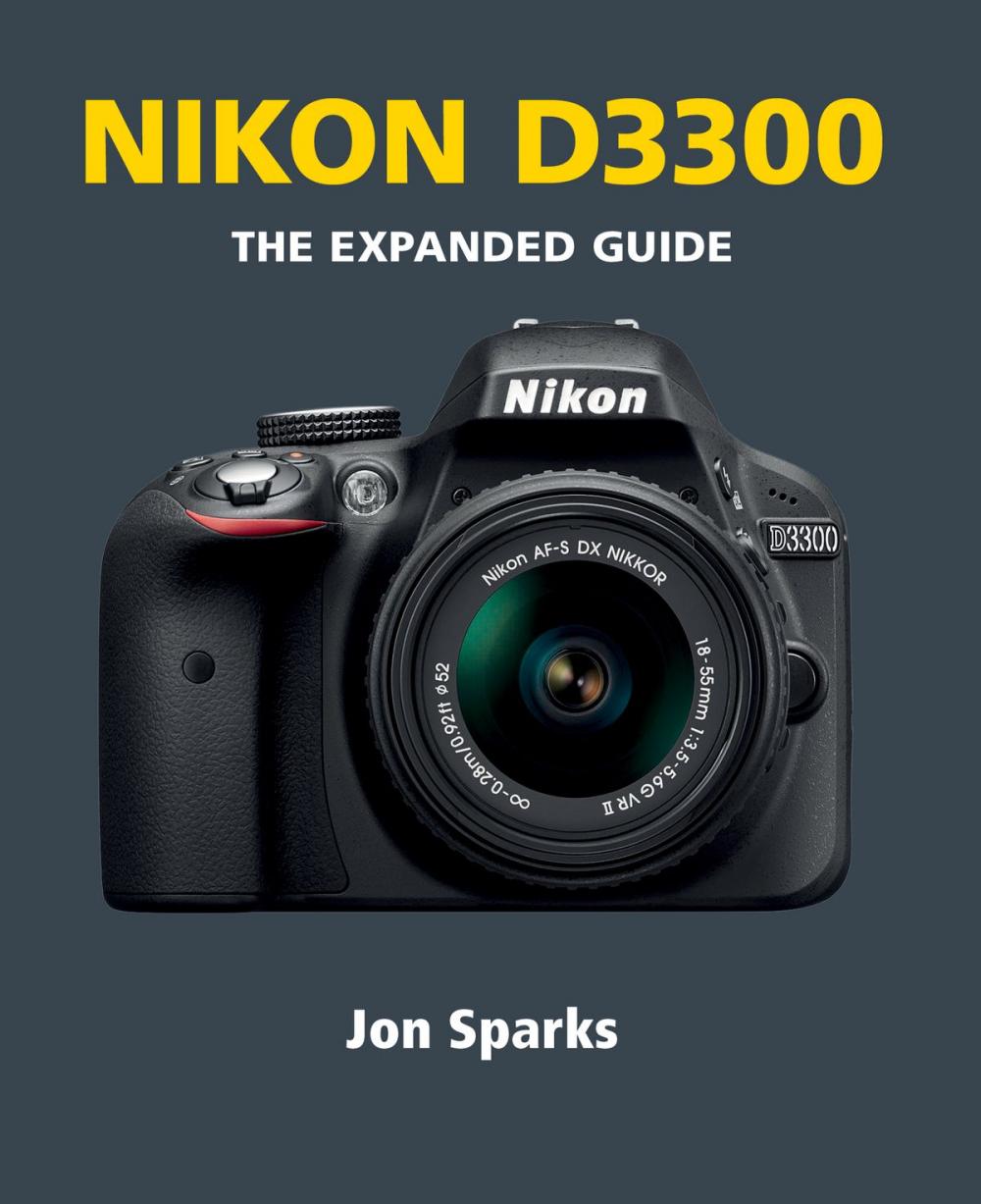 Big bigCover of Nikon D3300