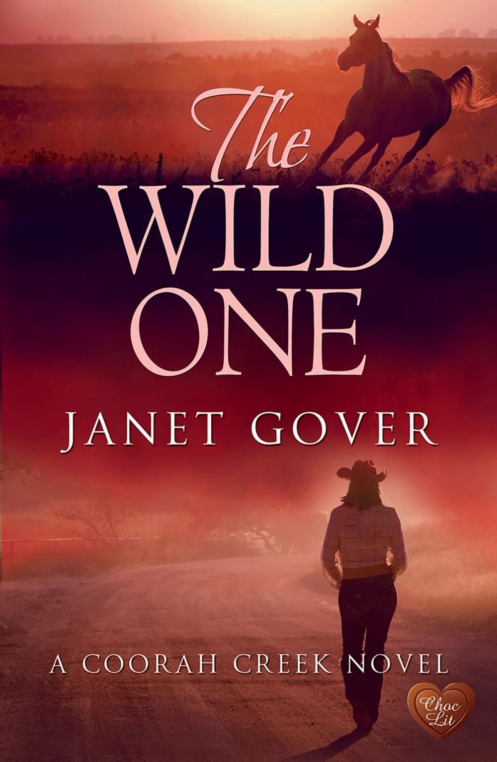 Big bigCover of The Wild One