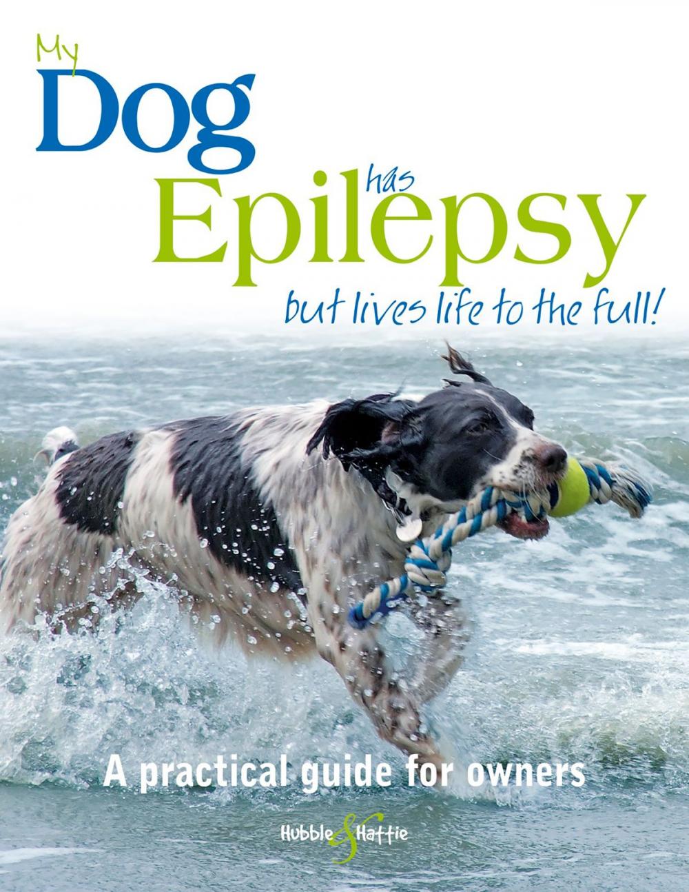 Big bigCover of My dog has epilepsy ...
