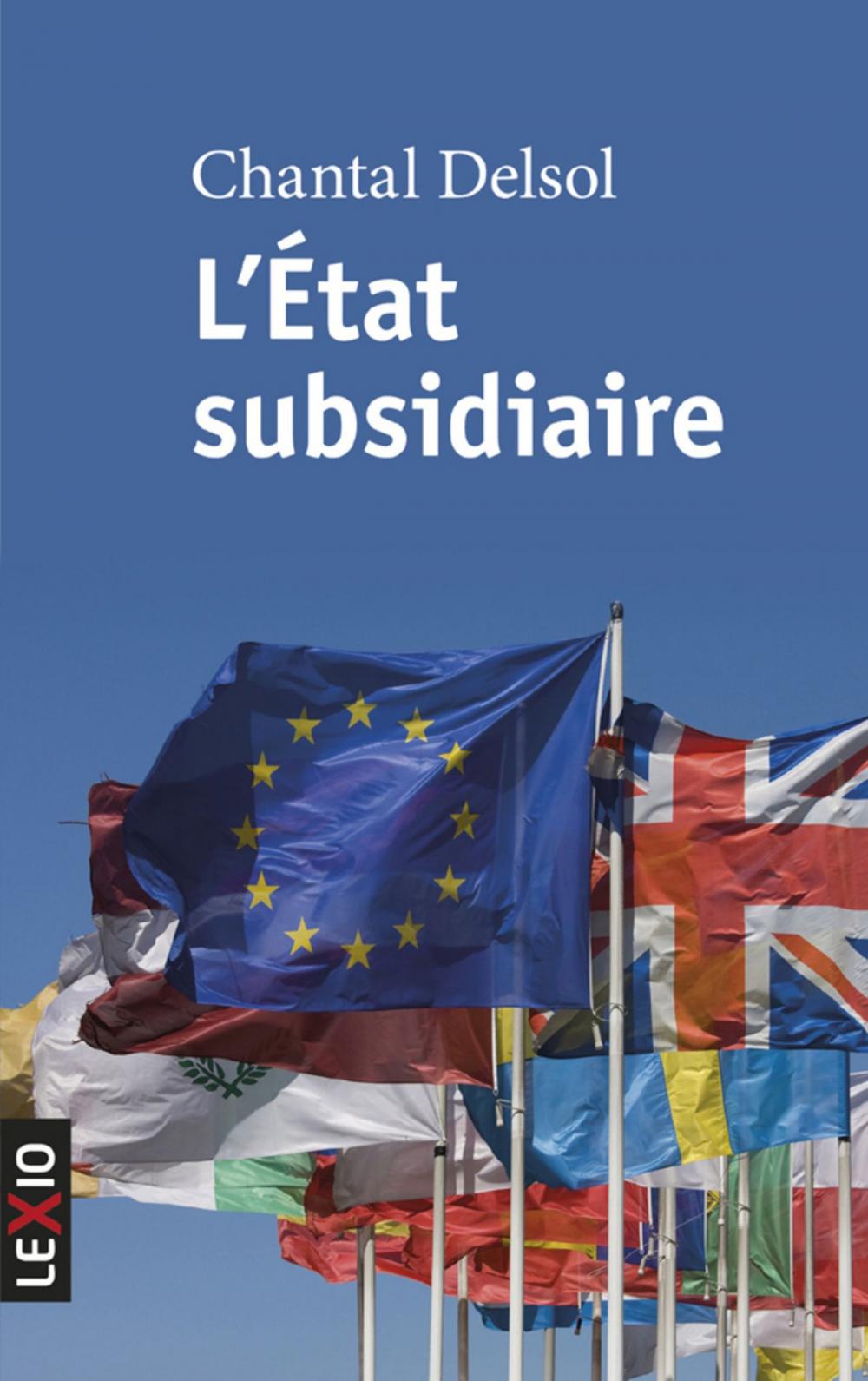 Big bigCover of L'Etat subsidiaire