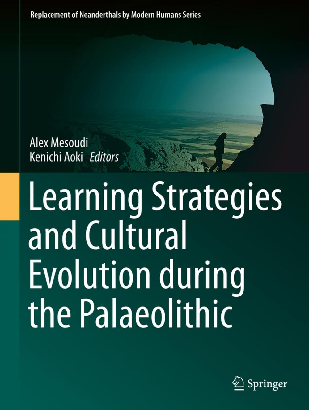 Big bigCover of Learning Strategies and Cultural Evolution during the Palaeolithic