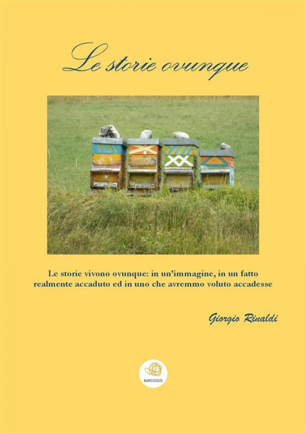 Big bigCover of Le storie ovunque