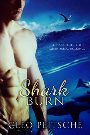 Cover of the book Shark Burn by K. Lyn Kennedy