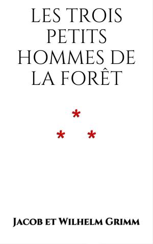 Cover of the book Les trois petits hommes de la forêt by Grimm Brothers