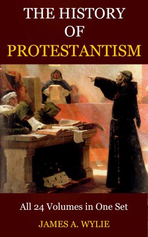 Cover of The History of Protestantism