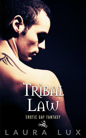 bigCover of the book Tribal Law by 
