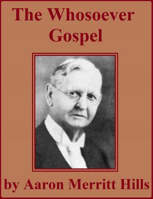 Book cover of The Whosoever Gospel