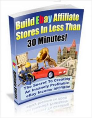 Cover of the book Build eBay Affiliate Stores by David Jones