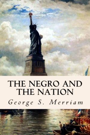 Cover of the book The Negro and the Nation by Archibald Henry Sayce