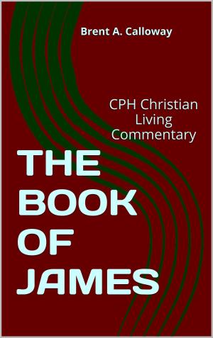 Cover of the book THE BOOK OF JAMES by Gary M. Roberts