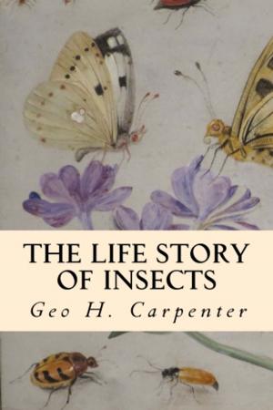 Cover of the book The Life Story of Insects by J.H. Kidd