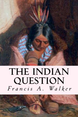 Book cover of The Indian Question