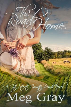 Cover of the book The Road Home by Anna Alexander