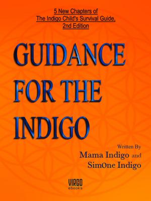 Cover of the book Guidance for the Indigo by Alexandru Bochiș Borșanu