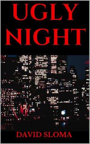 Book cover of UGLY NIGHT