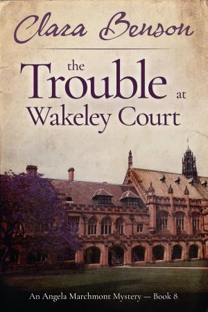 Cover of the book The Trouble at Wakeley Court by Poppy M. Haas