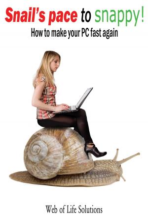 Book cover of Snail's Pace To Snappy! How To Make Your PC Fast Again