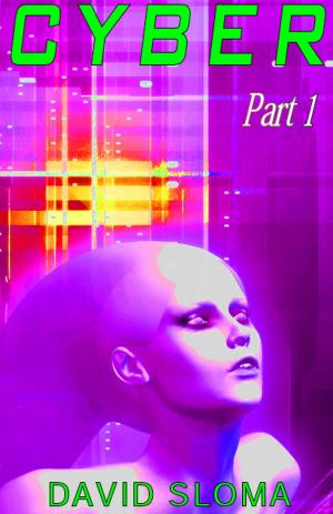 Book cover of Cyber - Part 1