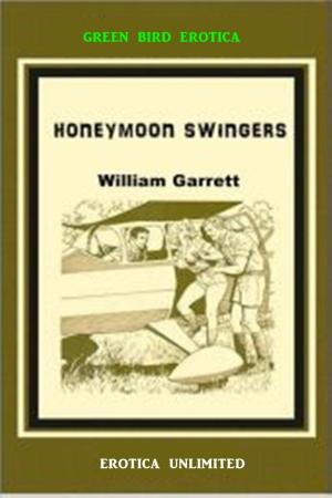 Book cover of Honeymoon Swingers