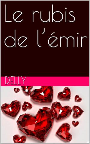 Book cover of Le rubis de l’émir
