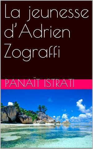 Cover of the book La jeunesse d’Adrien Zograffi by José Moselli